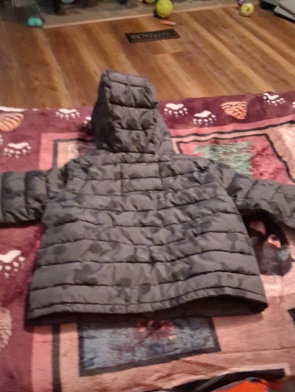 GAP Kids Hooded Puffer Jacket in Olive